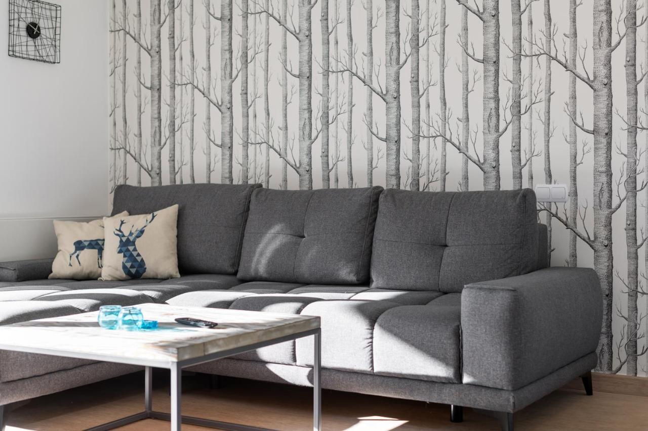 Apartament Scandinavia زاكوباني المظهر الخارجي الصورة